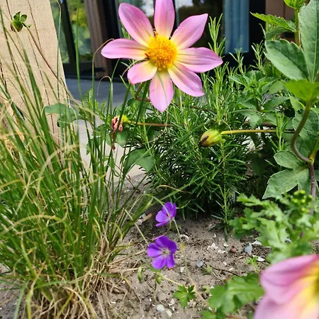 Bungalowpark Mooyeveld Egmond-Binnen