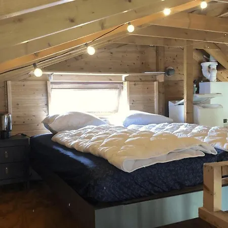 Vakantiepark Bungalowpark Mooyeveld