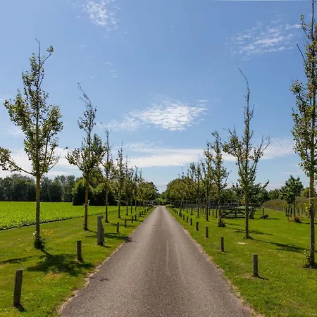 Bungalowpark Mooyeveld Holiday park