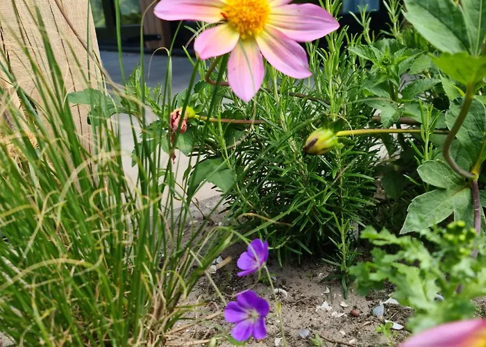 Bungalowpark Mooyeveld Egmond-Binnen