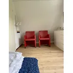 База отдыха Bungalowpark Mooyeveld *