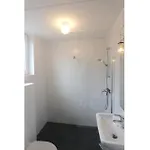 Bungalowpark Mooyeveld